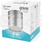Светильник Gauss Хром/Сатин LED накладной с рассеивателем 6W 4100K 68х75мм 1/30, фото 1