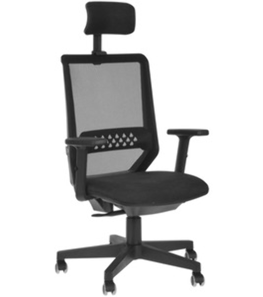 Кресло Бюрократ EXPERT TW-01 черный, сетка, подголовник