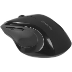 Мышь беспроводная Defender Accura MM-295 черный, 1600 dpi, радиоканал, USB, кнопки - 6, фото30