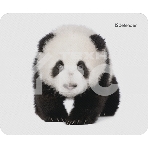 Коврик для мыши Defender Wild Animals и, 220x180x2 мм, 8 видов, фото11