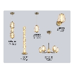 Светильник Ambrella light LH30112 SB/TI бронза/янтарь 35W 3000K D260*1325, фото7