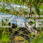 Шланг поливочный Palisad прозрачный армированный 3-х слойный, 1/2