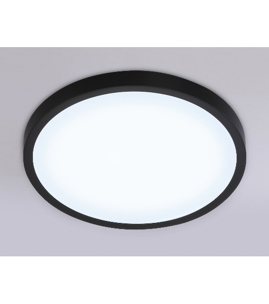 Светильник светодиодный ультратонкий Ambrella light FZ1953 BK черный IP54 20W 5000K D270*15 (Без ПДУ)