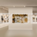 Телевизор Skyworth 55