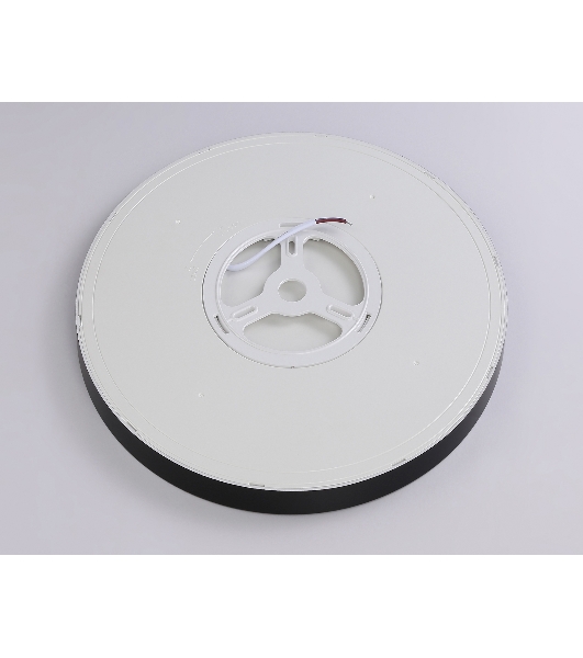 Светильник светодиодный ультратонкий Ambrella light FZ1953 BK черный IP54 20W 5000K D270*15 (Без ПДУ)