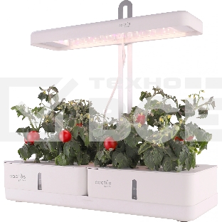 Гидропонная установка Cactus Garden 3л 20Вт белый (CS-LEDPOT-08)