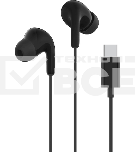 Наушники Xiaomi Type-C Earphones черный M2413E1
