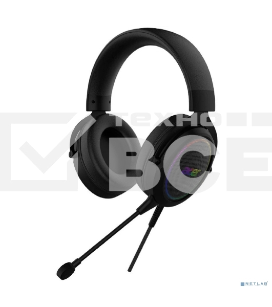 Наушники с микрофоном Acer AHW120 черный мониторные оголовье (ZL.HDSCC.01C)