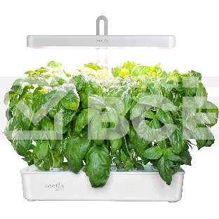 Гидропонная установка Cactus Garden CS-LEDPOT-10 2л 20Вт белый