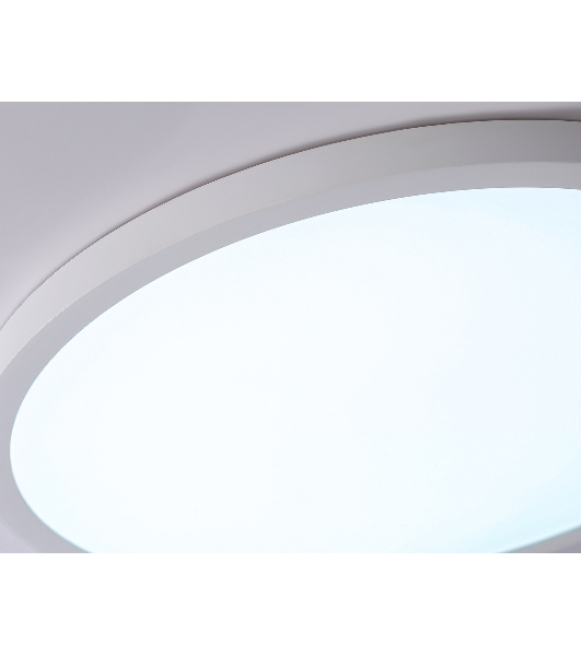 Светильник светодиодный ультратонкий Ambrella light FZ1955 WH белый IP54 26W 5000K D370*15 (Без ПДУ)