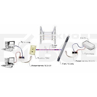Разветвитель Cablexpert NCA-SP-01A UTP 1 порт RJ45 (T568A/T568B) -> 2 порта RJ45 10/100 BASE-T