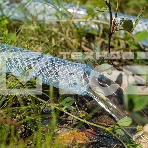 Шланг поливочный прозрачный армированный 3-х слойный, 3/4