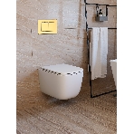 Инсталляция с унитазом комплект BAU IDEAL 6 в 1: унитаз подвесной безободковый торнадо Bau Dream 51х35, быстросъемное сиденье микролифт, кнопка смыва BAU Lightзолото, фото 1