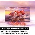 Телевизор Samsung 55' QE55Q70BAUXCE QLED UHD Smart, фото23