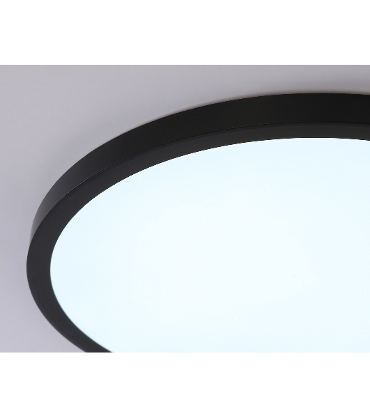 Светильник светодиодный ультратонкий Ambrella light FZ1957 BK черный IP54 26W 5000K D370*15 (Без ПДУ)