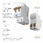 Автоматический выключатель Werkel 2P  16 A  C  6 кА W902P166, фото 1