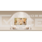 Телевизор Skyworth 65