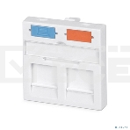 CABEUS FP-45-2M ВСТАВКА 45X45 (MOSAIC) ДЛЯ 2 МОДУЛЕЙ ФОРМАТА KEYSTONE JACK, фото 1