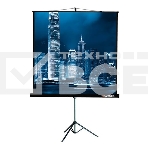 Экран на треноге Lumien 203x203см Master View LMV-100109 1:1 напольный рулонный, фото 1