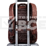 Рюкзак мужской Piquadro Cronus CA6690S134BM/M коричневый кожа, фото4