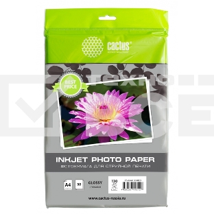 Фотобумага Cactus CS-GA413050ED A4/130г/м2/50л./белый глянцевое для струйной печати