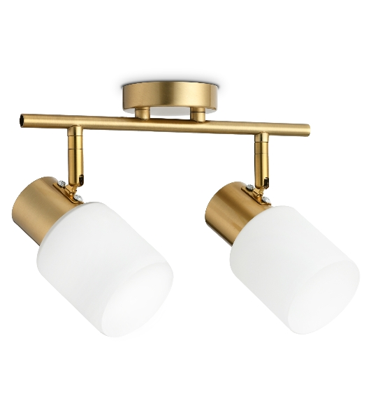 Светильник Ambrella light TR3969/2 BS/FR латунь/белый матовый  E27*2 max 40W 260*80*210
