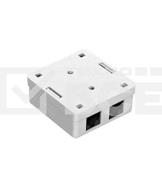 Розетка внешняя двойная ExeGate SM2-RJ45-C5 RJ-45 кат.5/5E UTP Krone/110