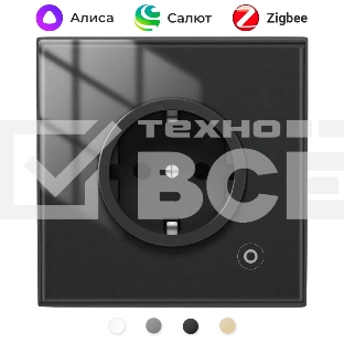 Розетка Moes Zigbee Smart Wall Socket черный модели ZK-EU
