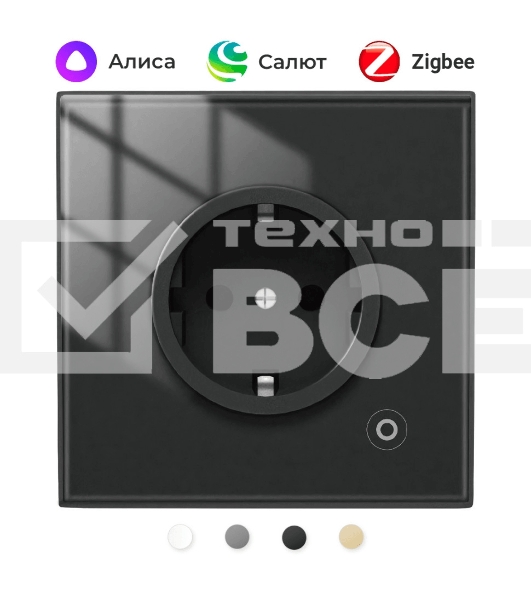 Розетка Moes Zigbee Smart Wall Socket черный модели ZK-EU