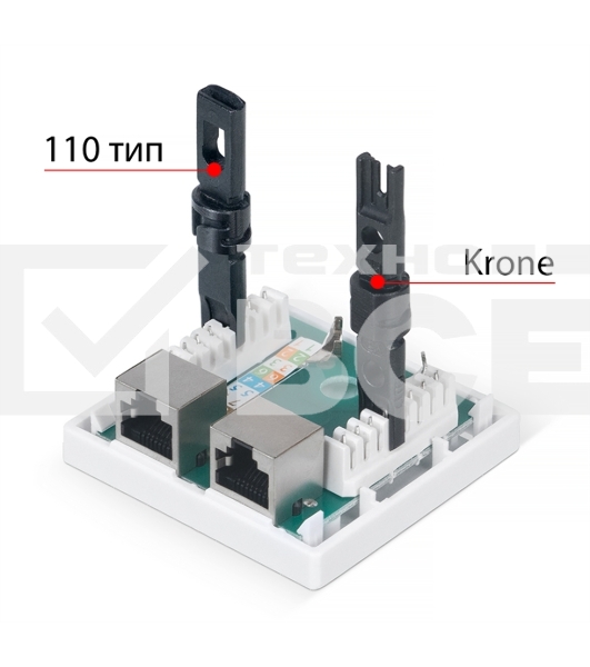 Розетка в сборе Cabeus, 2x RJ45(8P8C), кат. 5е, экр., внешняя, цвет: белый, (WS-8P8C-Cat.5e-SH-2)