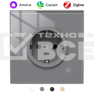 Розетка Moes Zigbee Smart Wall Socket серый модели ZK-EU