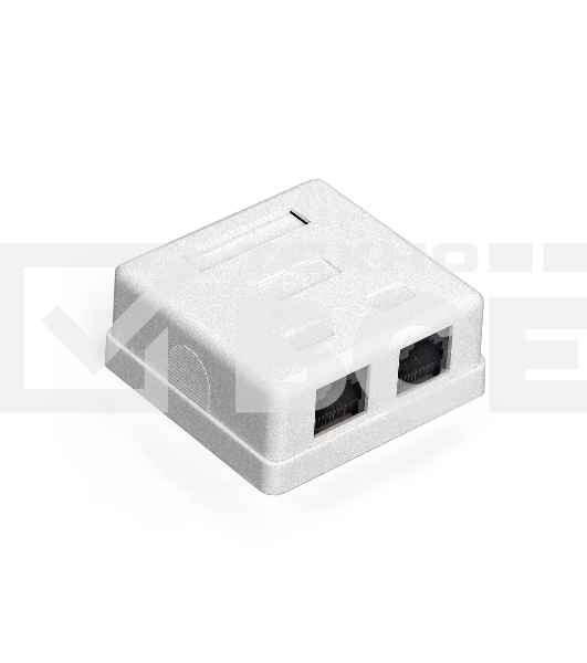 Розетка внешняя двойная ExeGate SM2-RJ45-C6 RJ-45 кат.6 UTP Krone/110