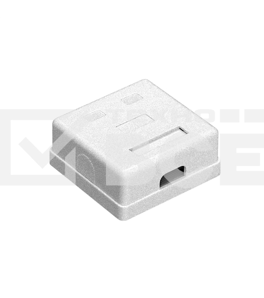 Розетка внешняя двойная ExeGate SM2-RJ45-C6 RJ-45 кат.6 UTP Krone/110