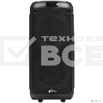 Портативная колонка RITMIX SP-875B черный, фото6