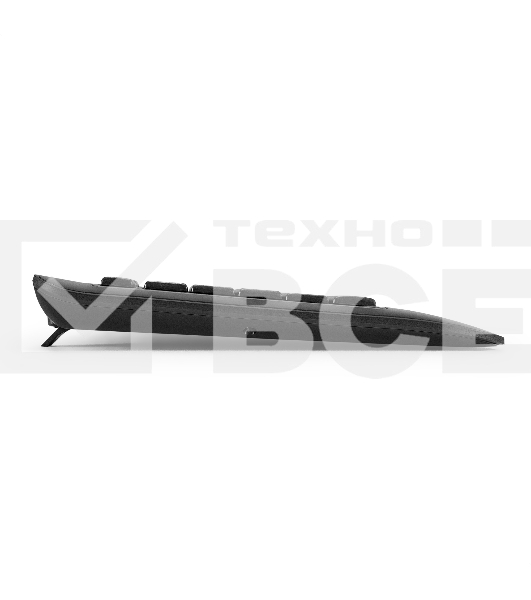 Клавиатура ExeGate Professional Standard LY-E5500M проводная, USB, чёрный