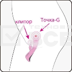 Вибростимулятор с клиторальным отростком компактный AD.Mini Trigger, фото12